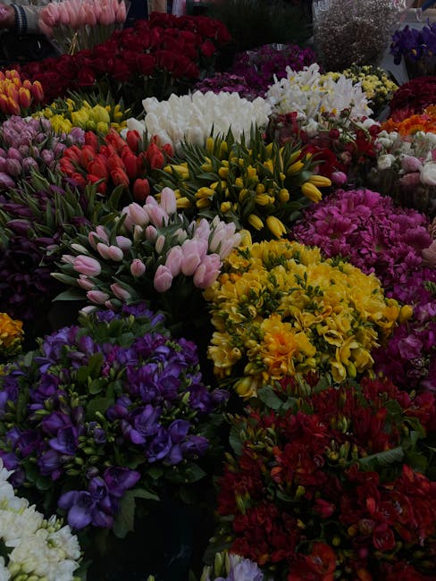 A vibrant assortment of fresh flowers arranged in a dense bouquet, featuring purple, pink, yellow, red, and white blooms. The arrangement includes clusters of irises, tulips, chrysanthemums, and other