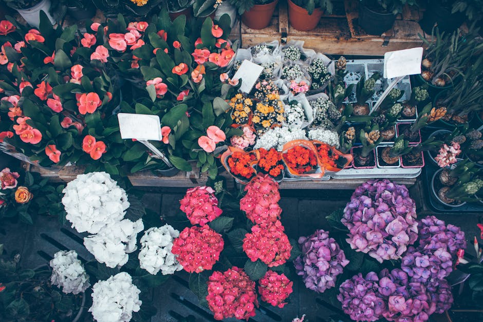 A colorful display of various flowering plants at a florist shop, featuring vibrant pink, white, and purple hydrangeas arranged in clusters with lush green leaves. To the left, there are red and coral
